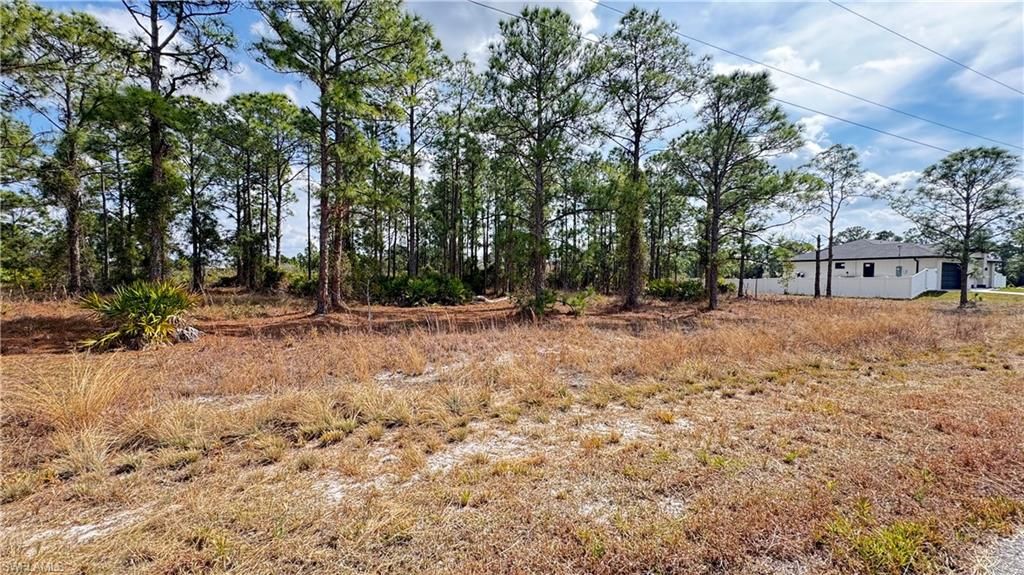 727 Randall AVE E, LEHIGH ACRES, FL 33974 — photo 2