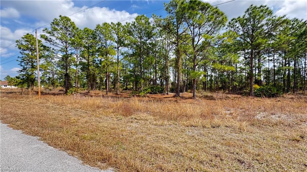 727 Randall AVE E, LEHIGH ACRES, FL 33974 — photo 3