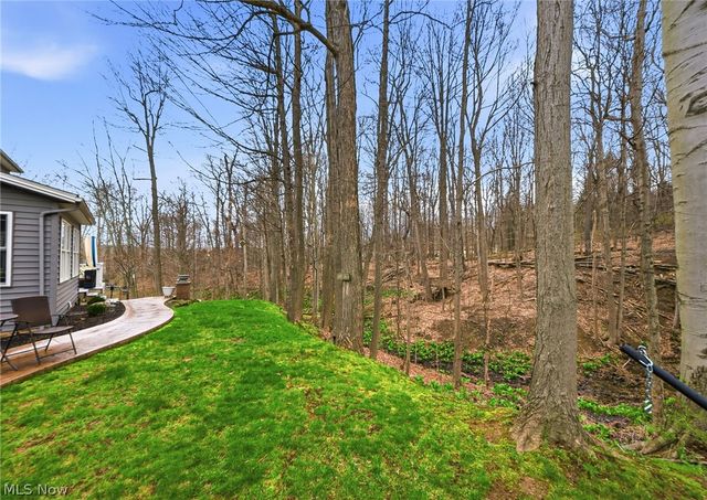 253 Anne Marie Court, Hinckley, OH 44233