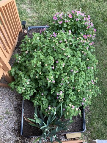 316 Misty Groves Circle, Morrisville, NC 27560