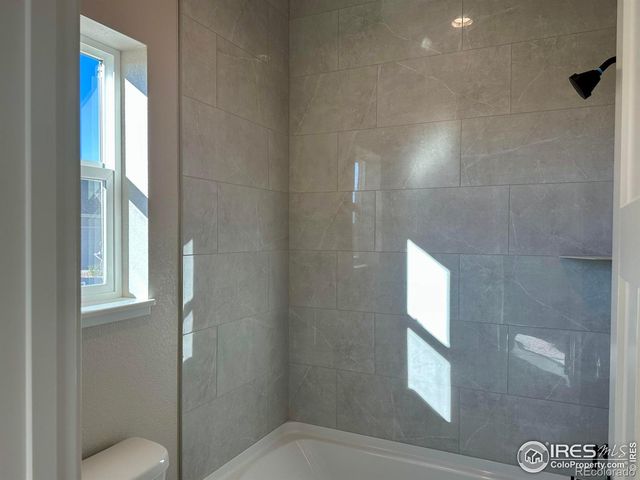 7124 Rye Grass Drive, Wellington, CO 80549