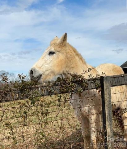 119 Abersham Drive, Mooresville, NC 28115