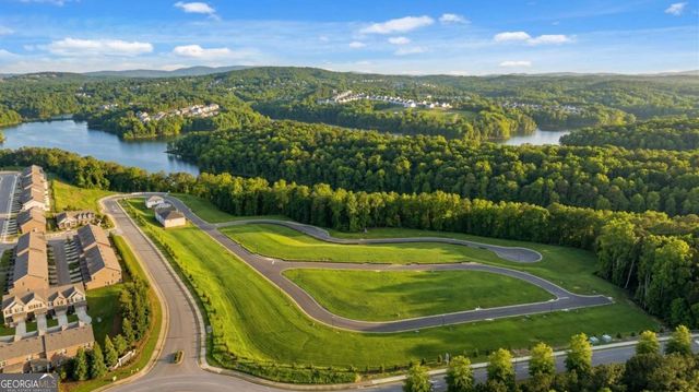 236 Black Walnut Way, Canton, GA 30114