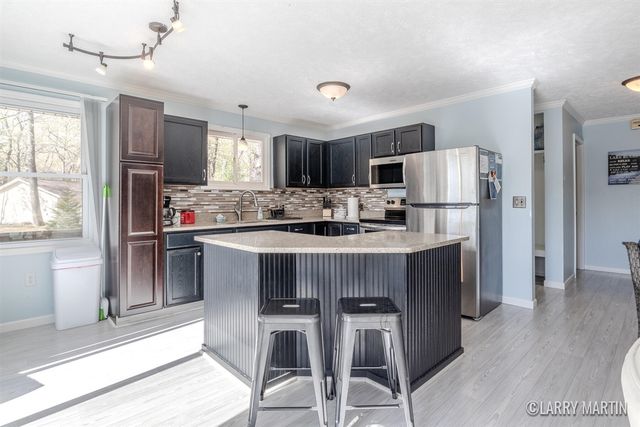 10273 Basford Lk Drive, Baldwin, MI 49304