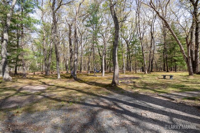 10273 Basford Lk Drive, Baldwin, MI 49304