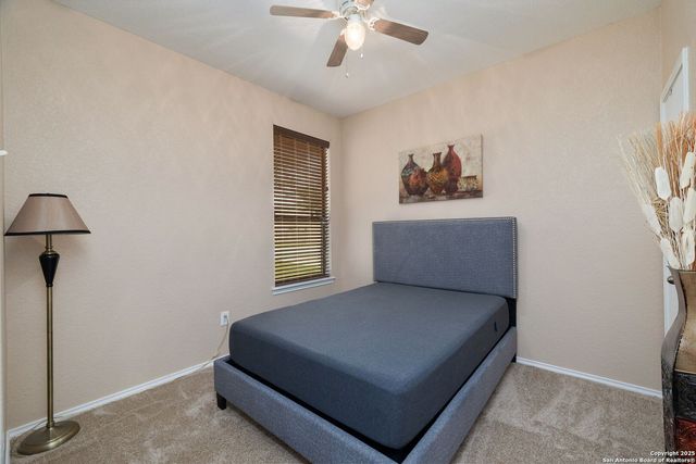 714 CANADIAN GOOSE, San Antonio, TX 78245