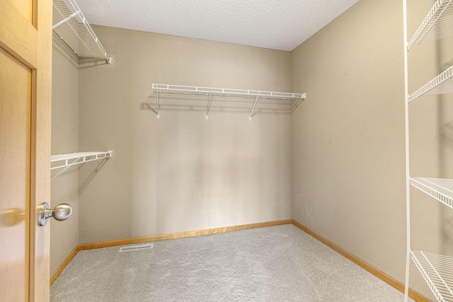5384 Radford Avenue NE, Otsego, MN 55374