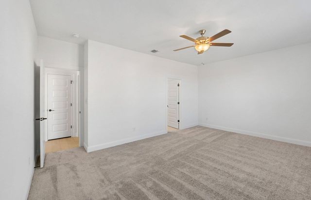 16804 Catemaco WALK, Manor, TX 78653