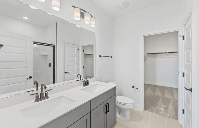 16804 Catemaco WALK, Manor, TX 78653