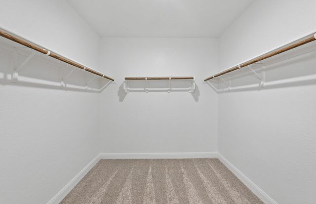 16804 Catemaco WALK, Manor, TX 78653