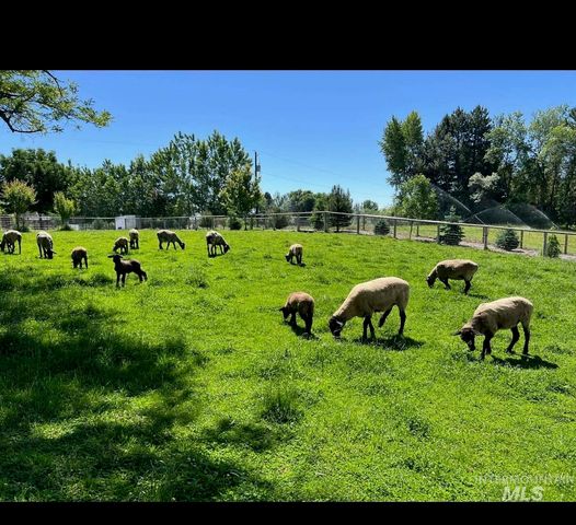 1825 W Beacon Light Rd, Eagle, ID 83616