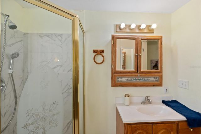 1306 DEBRA DRIVE, The Villages, FL 32159