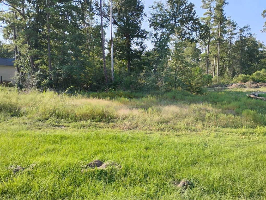 TBD N Cattle Drive, Onalaska, TX 77360