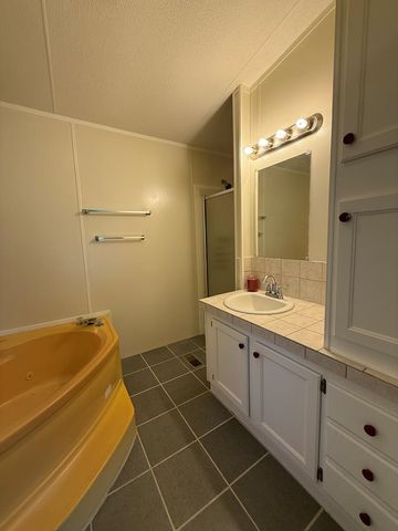 184 Mclane St, Pinckard, AL 36371