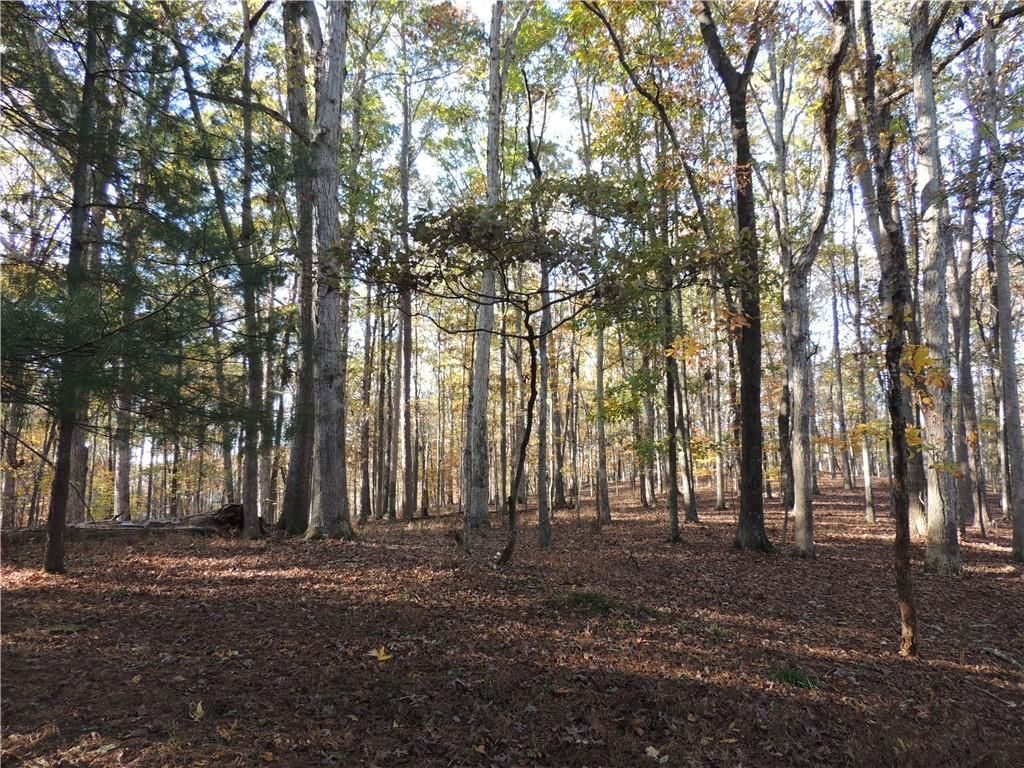 Image 58 of property listing at 12950 New Providence Road, Milton, GA 30004