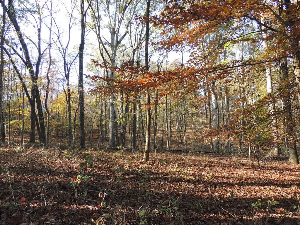 Image 59 of property listing at 12950 New Providence Road, Milton, GA 30004