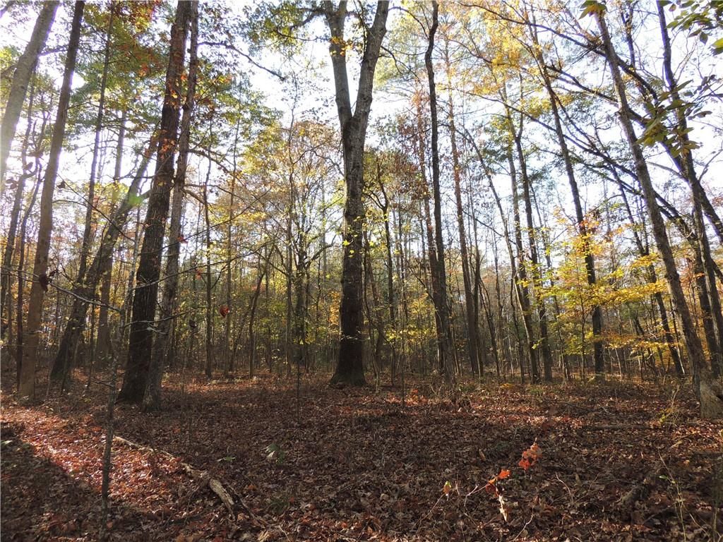 Image 60 of property listing at 12950 New Providence Road, Milton, GA 30004