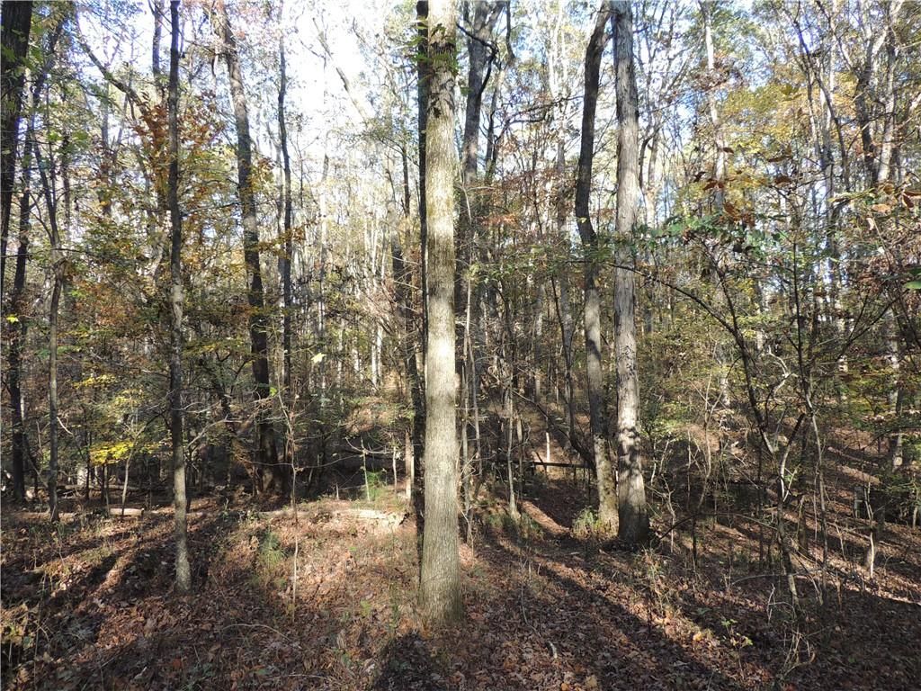 Image 61 of property listing at 12950 New Providence Road, Milton, GA 30004