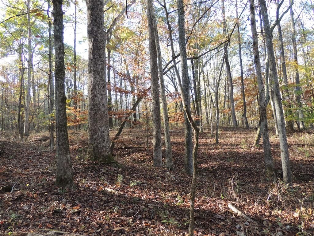 Image 62 of property listing at 12950 New Providence Road, Milton, GA 30004