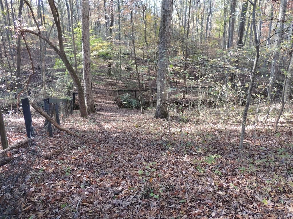 Image 67 of property listing at 12950 New Providence Road, Milton, GA 30004