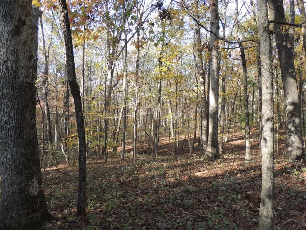 Image 69 of property listing at 12950 New Providence Road, Milton, GA 30004