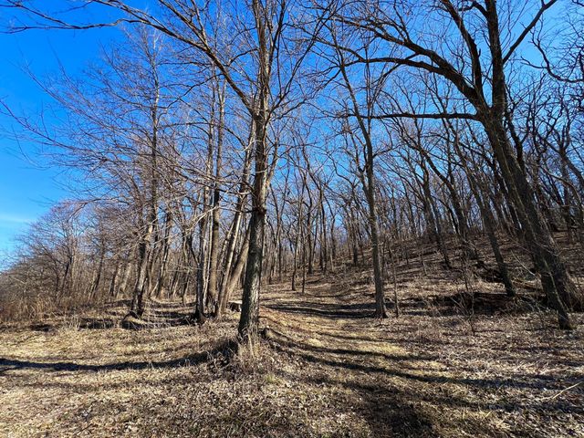 9200 County Road 3 NW, Oronoco, MN 55960