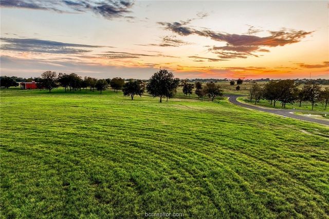 TBD Sunshine Lot 13 Court, Chappell Hill, TX 77426