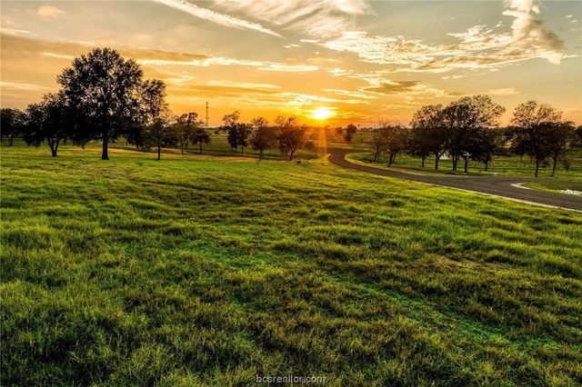 TBD Sunshine Lot 13 Court, Chappell Hill, TX 77426