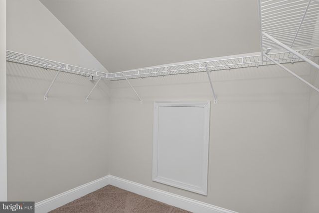 12241 BLUFFWOOD TER, Clarksburg, MD 20871