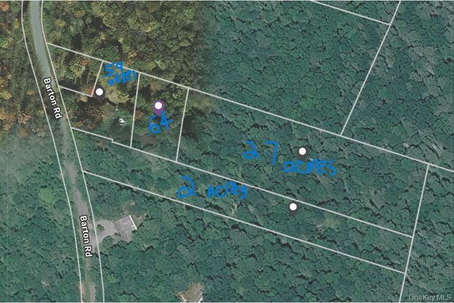 40 Barton Road, Liberty, NY 12754