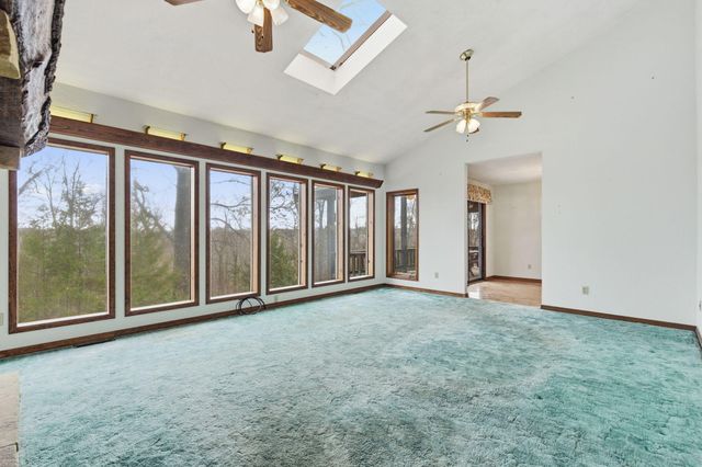 564 Cr 636, Theodosia, MO 65761