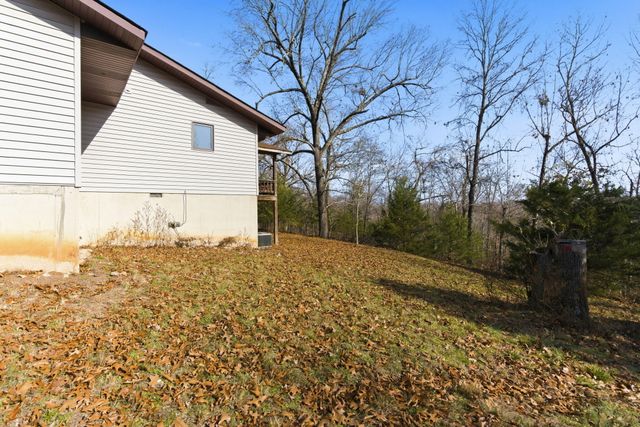 564 Cr 636, Theodosia, MO 65761