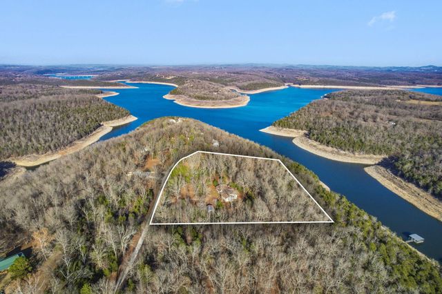 564 Cr 636, Theodosia, MO 65761