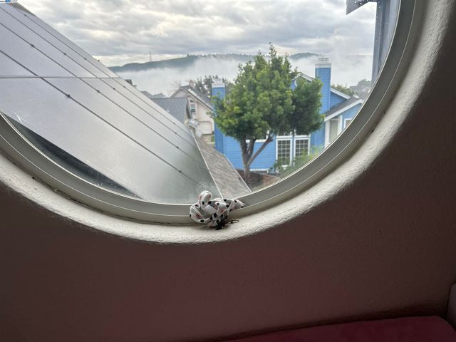 7 Cliff Walk, Vallejo, CA 94591