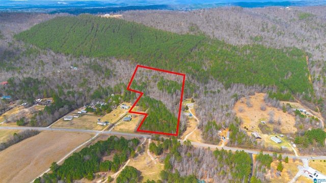 0 SHOAL CREEK ROAD, Ashville, AL 35953