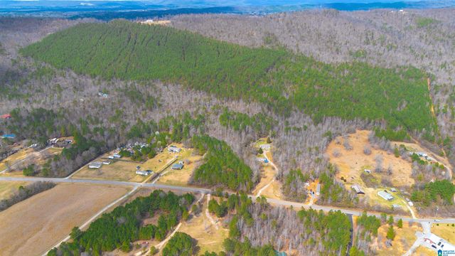 0 SHOAL CREEK ROAD, Ashville, AL 35953