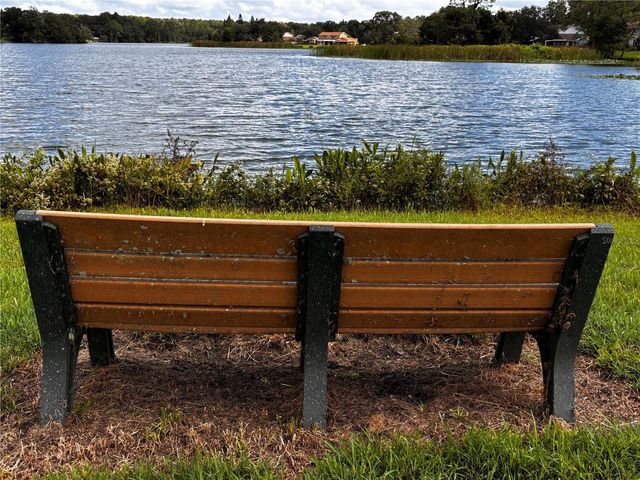 15304 MORNING DRIVE, Lutz, FL 33559