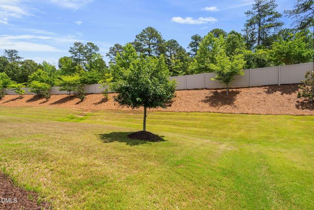 1412 Santa Lucia Street, Wake Forest, NC 27587