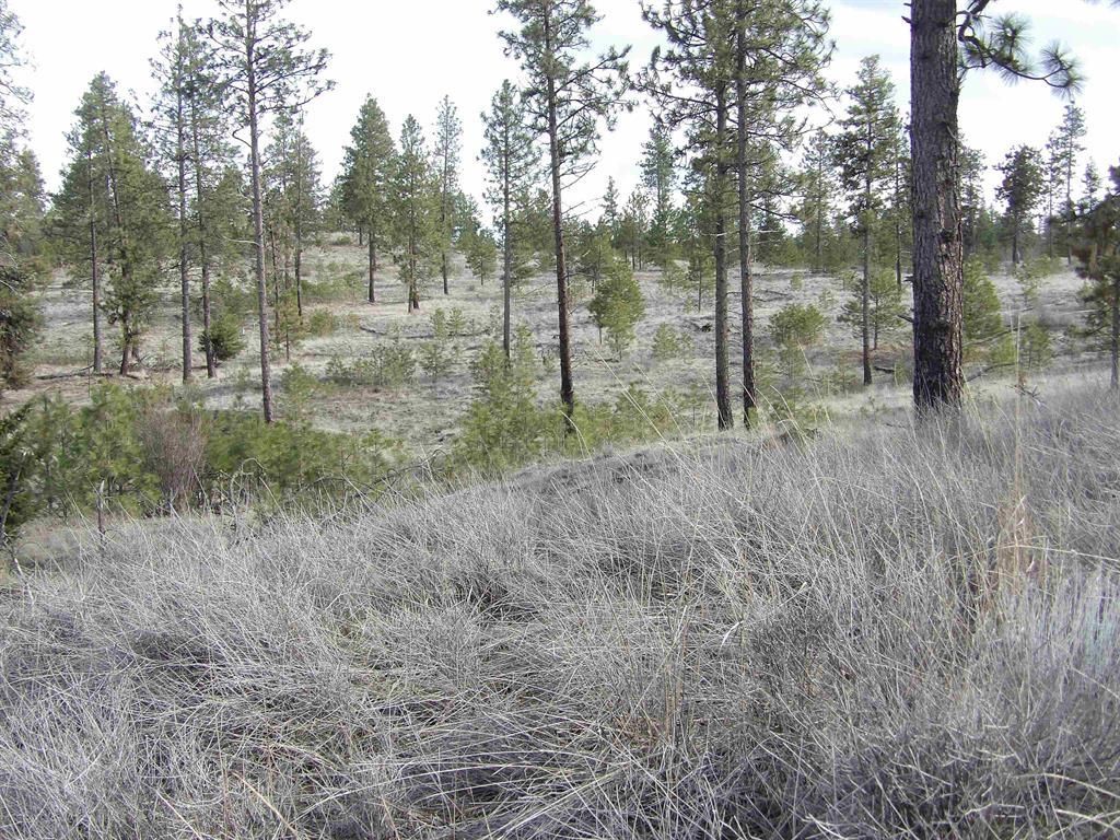 Lot 2 Pine Hen Ln, Davenport, WA 99122