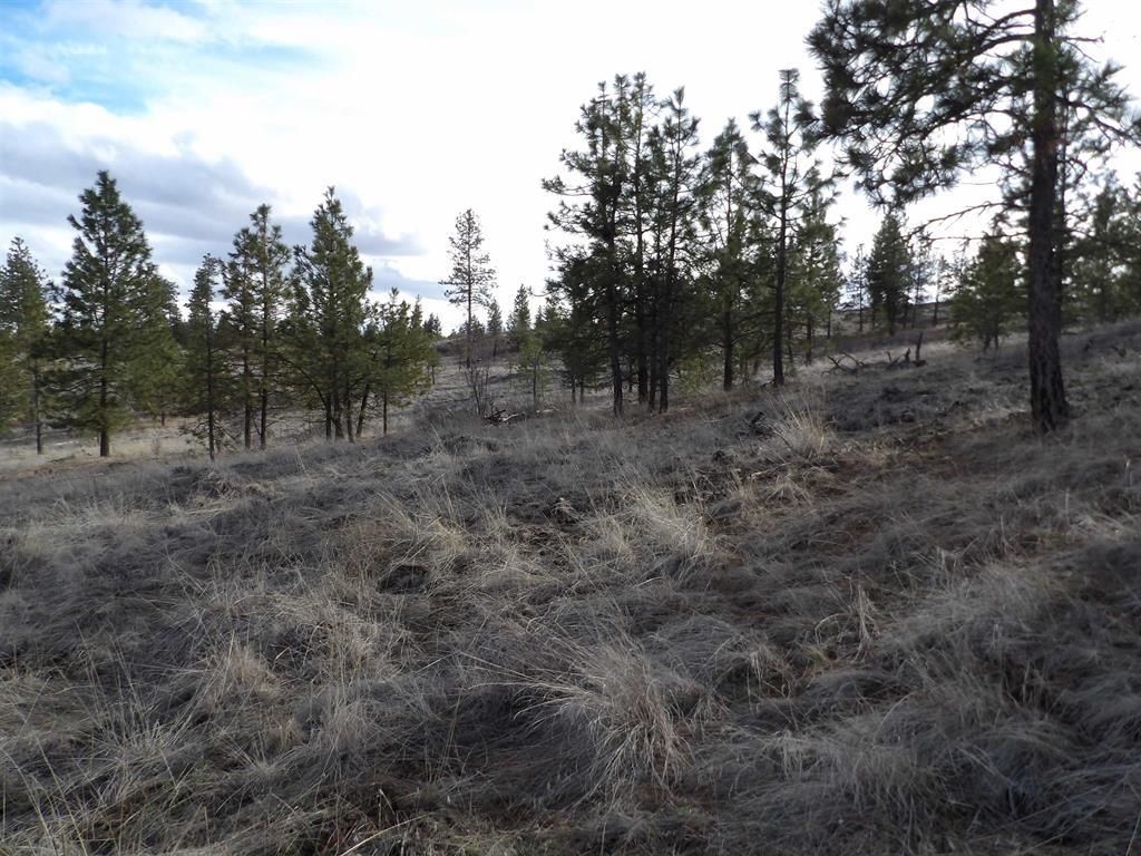Lot 2 Pine Hen Ln, Davenport, WA 99122 photo 11