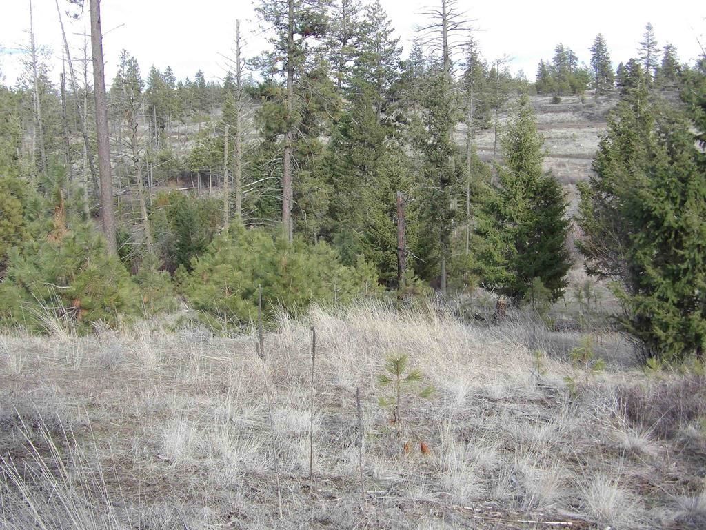 Lot 2 Pine Hen Ln, Davenport, WA 99122 photo 12