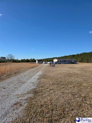 5140 Sardis Hwy, Timmonsville, SC 29161