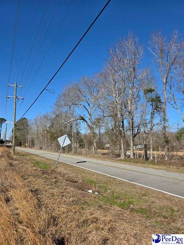 5140 Sardis Hwy, Timmonsville, SC 29161