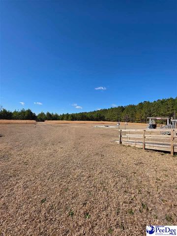 5140 Sardis Hwy, Timmonsville, SC 29161