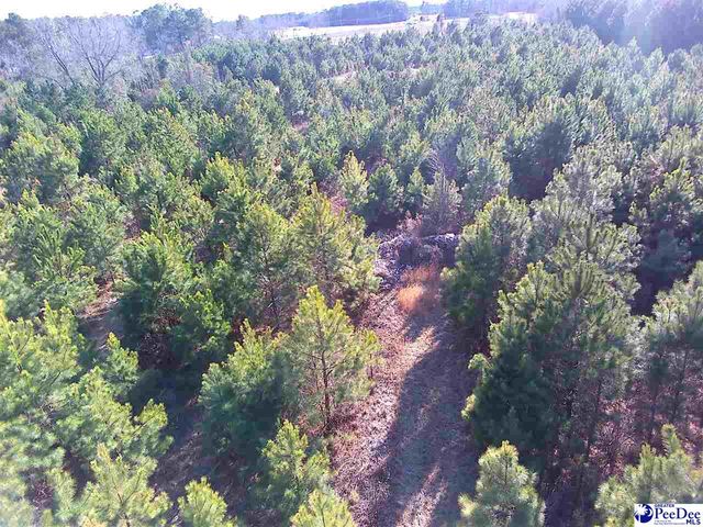 5140 Sardis Hwy, Timmonsville, SC 29161