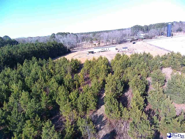 5140 Sardis Hwy, Timmonsville, SC 29161