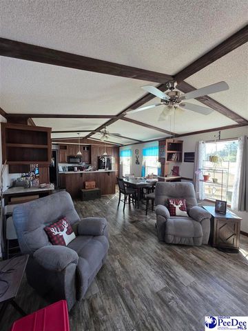 5140 Sardis Hwy, Timmonsville, SC 29161