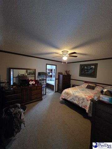 5140 Sardis Hwy, Timmonsville, SC 29161