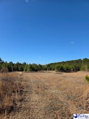 5140 Sardis Hwy, Timmonsville, SC 29161