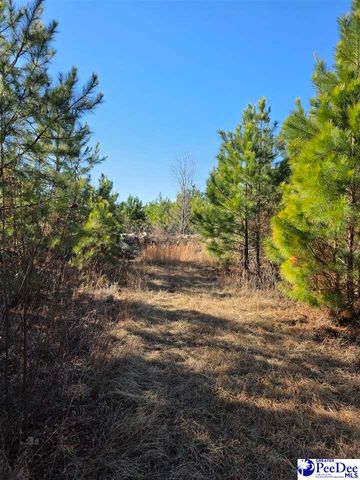 5140 Sardis Hwy, Timmonsville, SC 29161